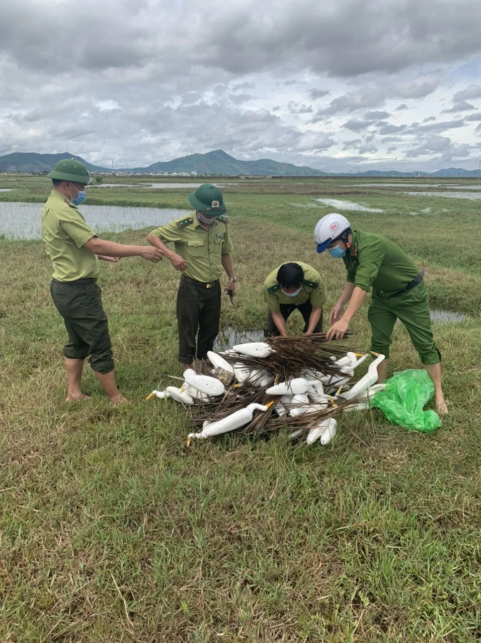Hà Tĩnh: Tăng cường xử lý nạn săn bắt chim tự nhiên, động vật hoang dã ảnh 3 Hà Tĩnh: Tăng cường xử lý nạn săn bắt chim tự nhiên, động vật hoang dã ảnh 3