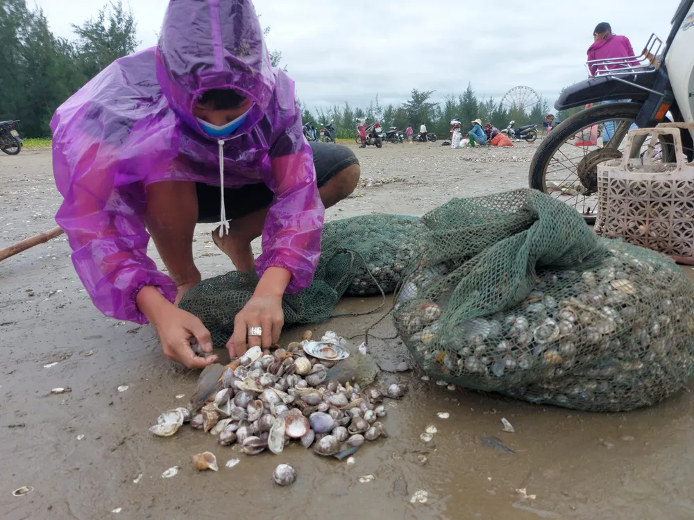 Người dân Hà Tĩnh đổ xô đi nhặt “lộc biển” ảnh 12