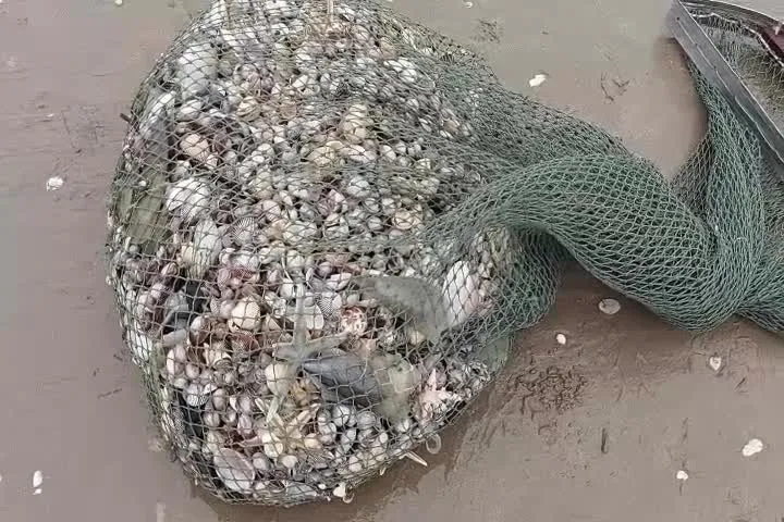 Người dân Hà Tĩnh đổ xô đi nhặt “lộc biển” ảnh 16