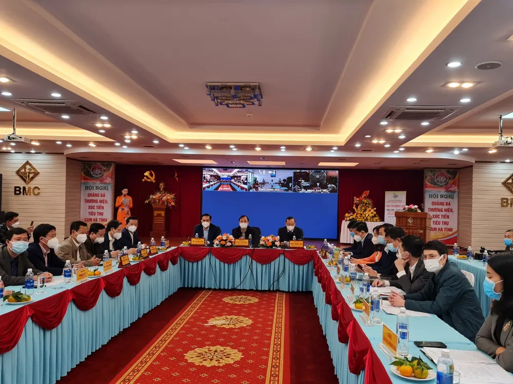 Hà Tĩnh tổ chức hội nghị quảng bá thương hiệu, xúc tiến tiêu thụ cam ảnh 1