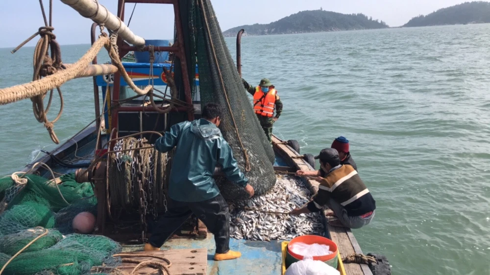 Phương tiện tàu giã cào vi phạm