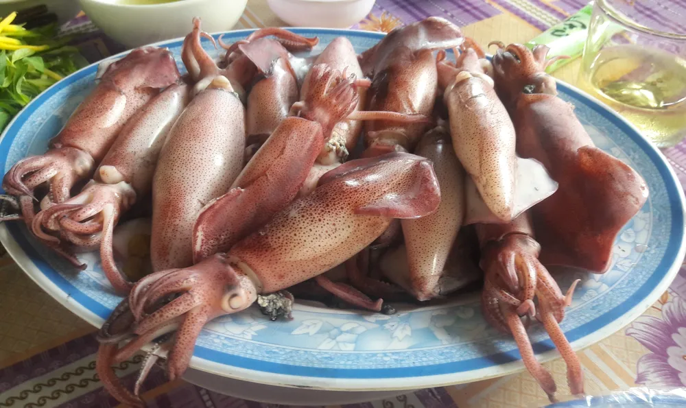 Hà Tĩnh: Mực nhảy Vũng Áng hấp dẫn du khách ảnh 9 Hà Tĩnh: Mực nhảy Vũng Áng hấp dẫn du khách ảnh 9