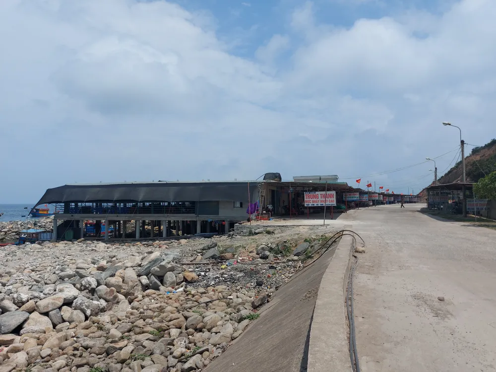 Hà Tĩnh: Mực nhảy Vũng Áng hấp dẫn du khách ảnh 10 Hà Tĩnh: Mực nhảy Vũng Áng hấp dẫn du khách ảnh 10