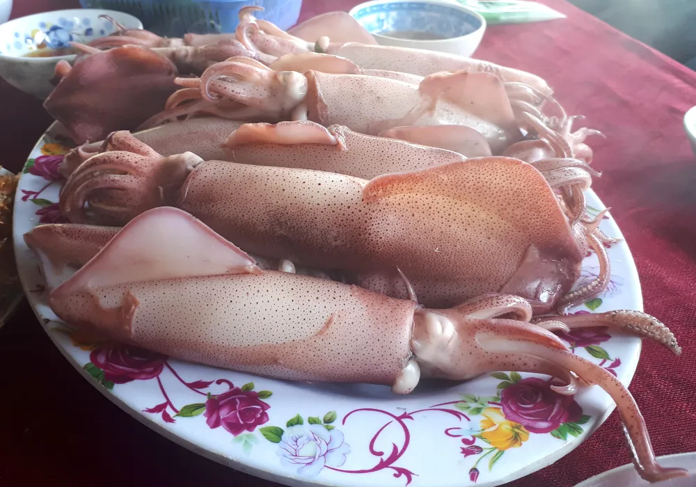 Hà Tĩnh: Mực nhảy Vũng Áng hấp dẫn du khách ảnh 23 Hà Tĩnh: Mực nhảy Vũng Áng hấp dẫn du khách ảnh 23