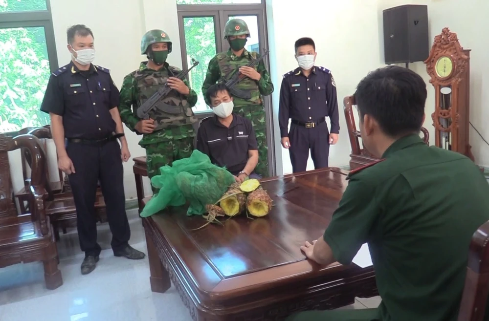 Bắt đối tượng giấu ma túy trong quả dứa vận chuyển qua biên giới ảnh 2 Bắt đối tượng giấu ma túy trong quả dứa vận chuyển qua biên giới ảnh 2