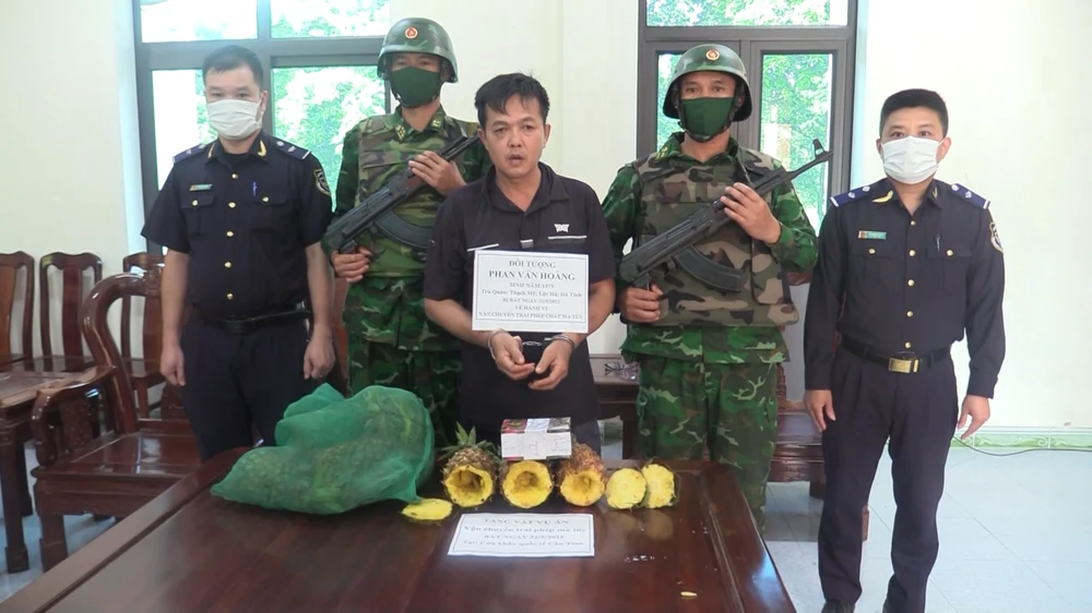 Bắt đối tượng giấu ma túy trong quả dứa vận chuyển qua biên giới ảnh 1 Bắt đối tượng giấu ma túy trong quả dứa vận chuyển qua biên giới ảnh 1