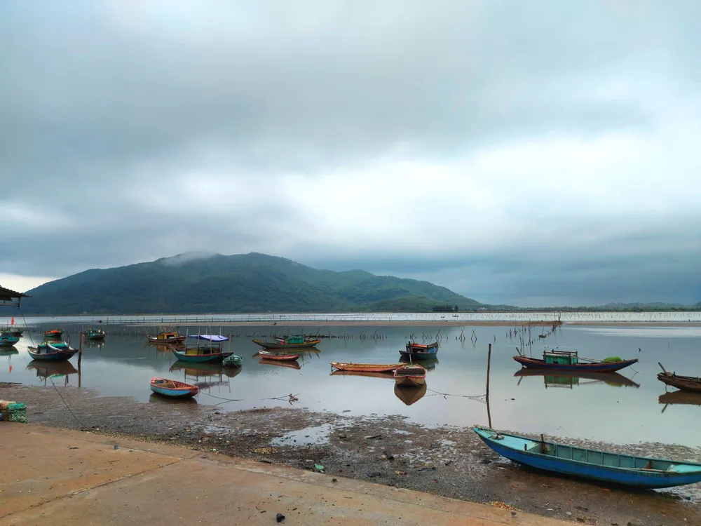 Hà Tĩnh: Nghêu nuôi chết hàng loạt chưa rõ nguyên nhân ảnh 6