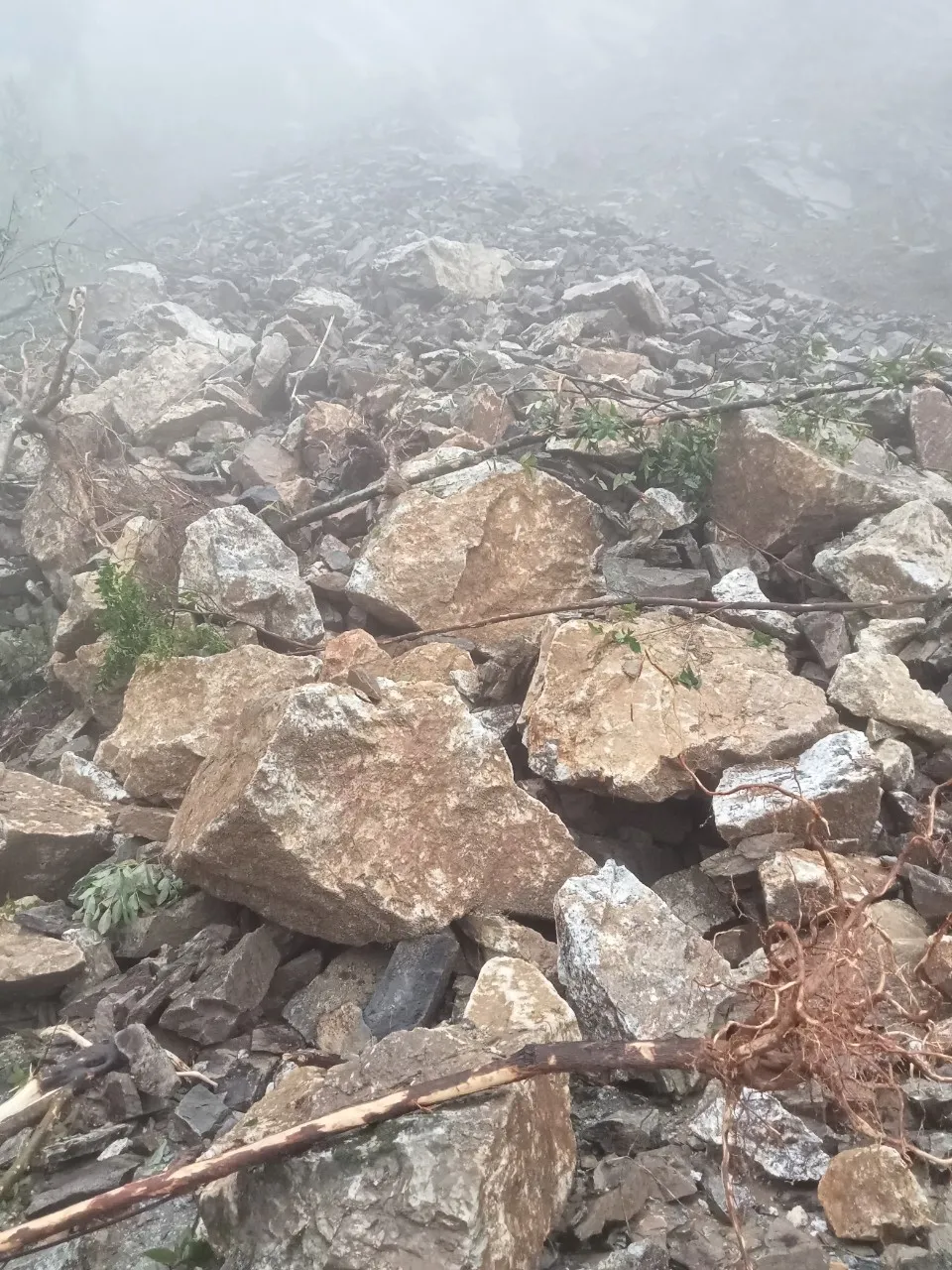 Quốc lộ 8A lên Cửa khẩu quốc tế Cầu Treo bị sạt lở, gây ách tắc giao thông ảnh 5