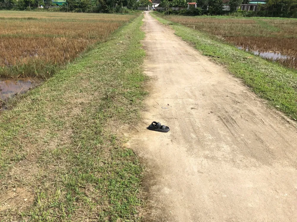 Nam sinh lớp 12 bị đâm tử vong trên đường đi học về ảnh 1