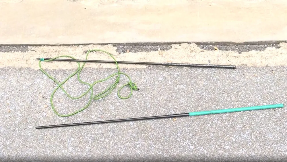 Bắt giữ băng nhóm gây ra hàng loạt vụ trộm chó ở Hà Tình ảnh 2