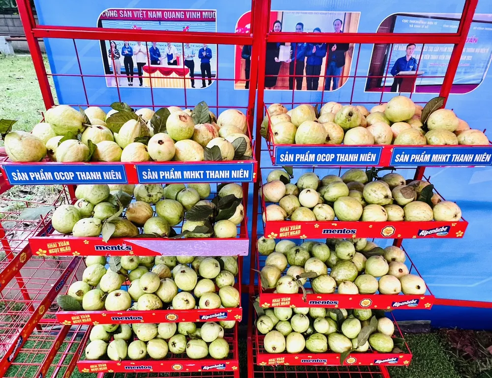 Các sản phẩm trưng bày, giới thiệu tại lễ hội Các sản phẩm trưng bày, giới thiệu tại lễ hội