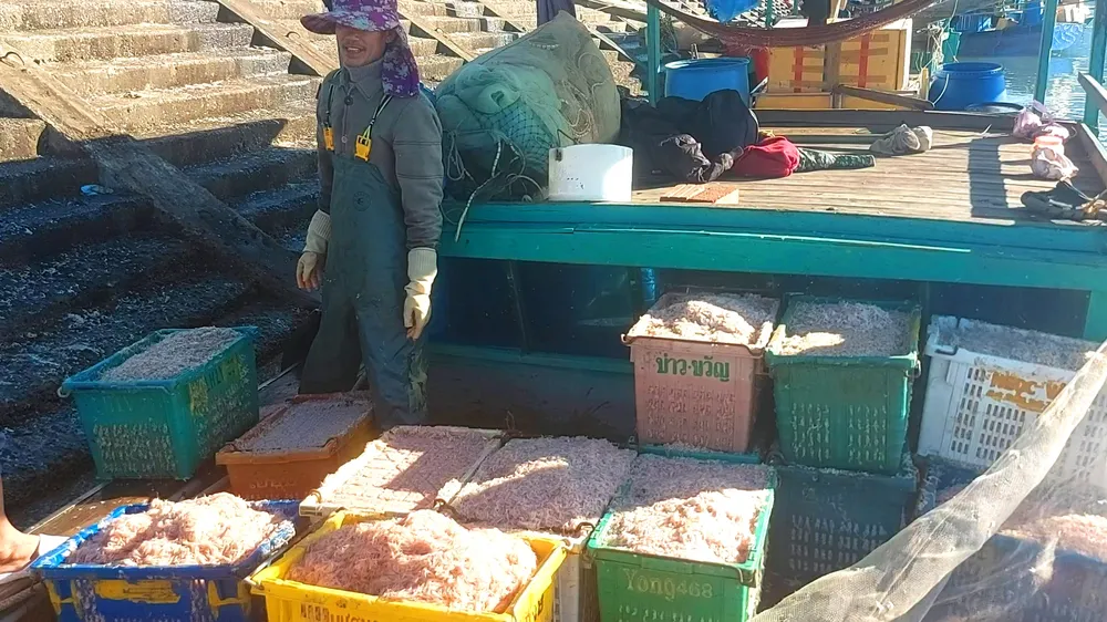 Tàu cá trúng ruốc biển vào cập cảng cá Cửa Sót