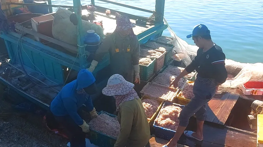 Các lao động bốc ruốc biển từ dưới tàu lên cảng cá Cửa Sót