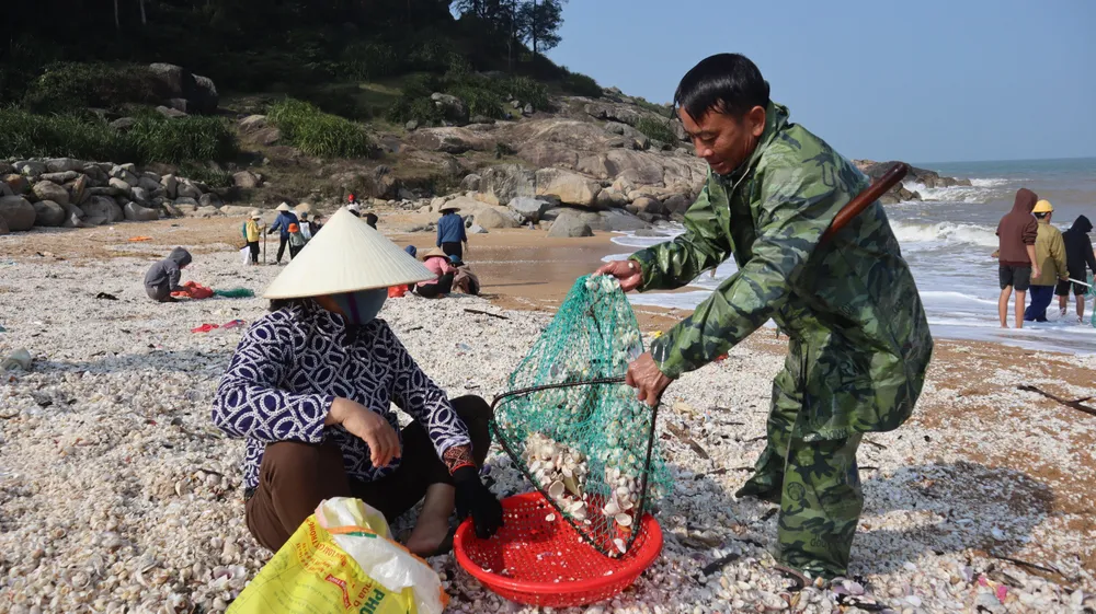 ...và đem lên bờ ...và đem lên bờ