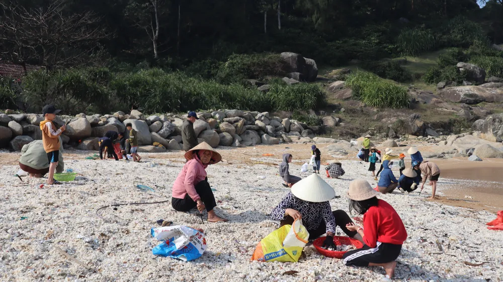 Phụ nữ và trẻ em phân loại sò vào các bao tải, túi lưới Phụ nữ và trẻ em phân loại sò vào các bao tải, túi lưới