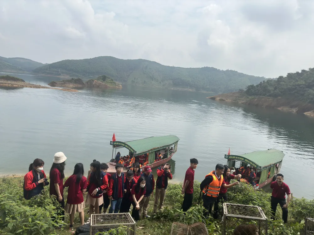 Nhiều học sinh cùng tham gia tái thả cá thể động vật hoang dã về tự nhiên