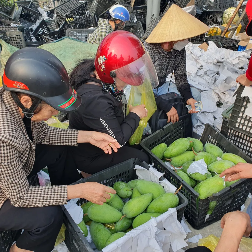 Người dân giúp tài xế thu gom, bốc vác, thu mua và bán xoài
