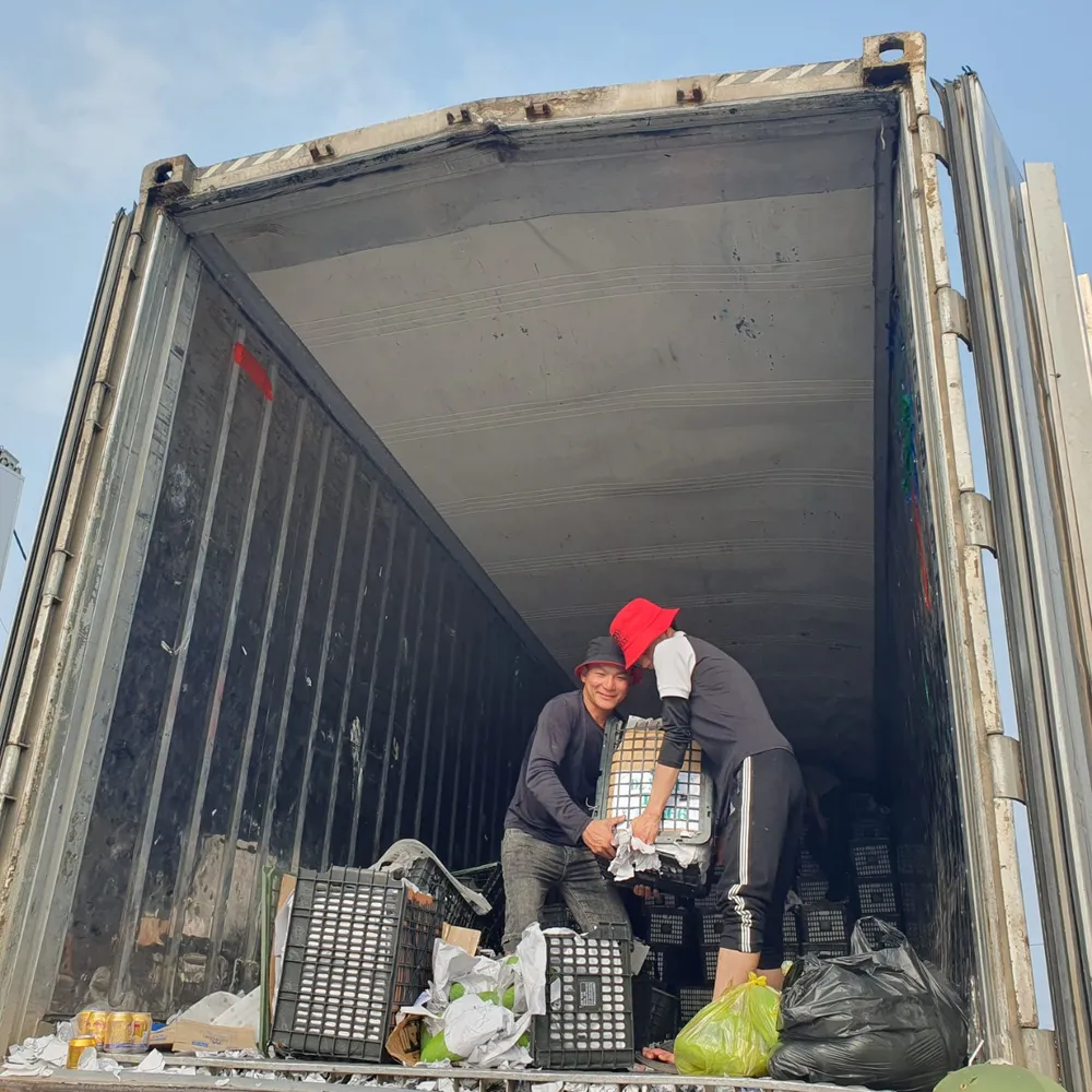 Bốc số xoài trong thùng xe container xuống để giúp tài xế tiêu thụ