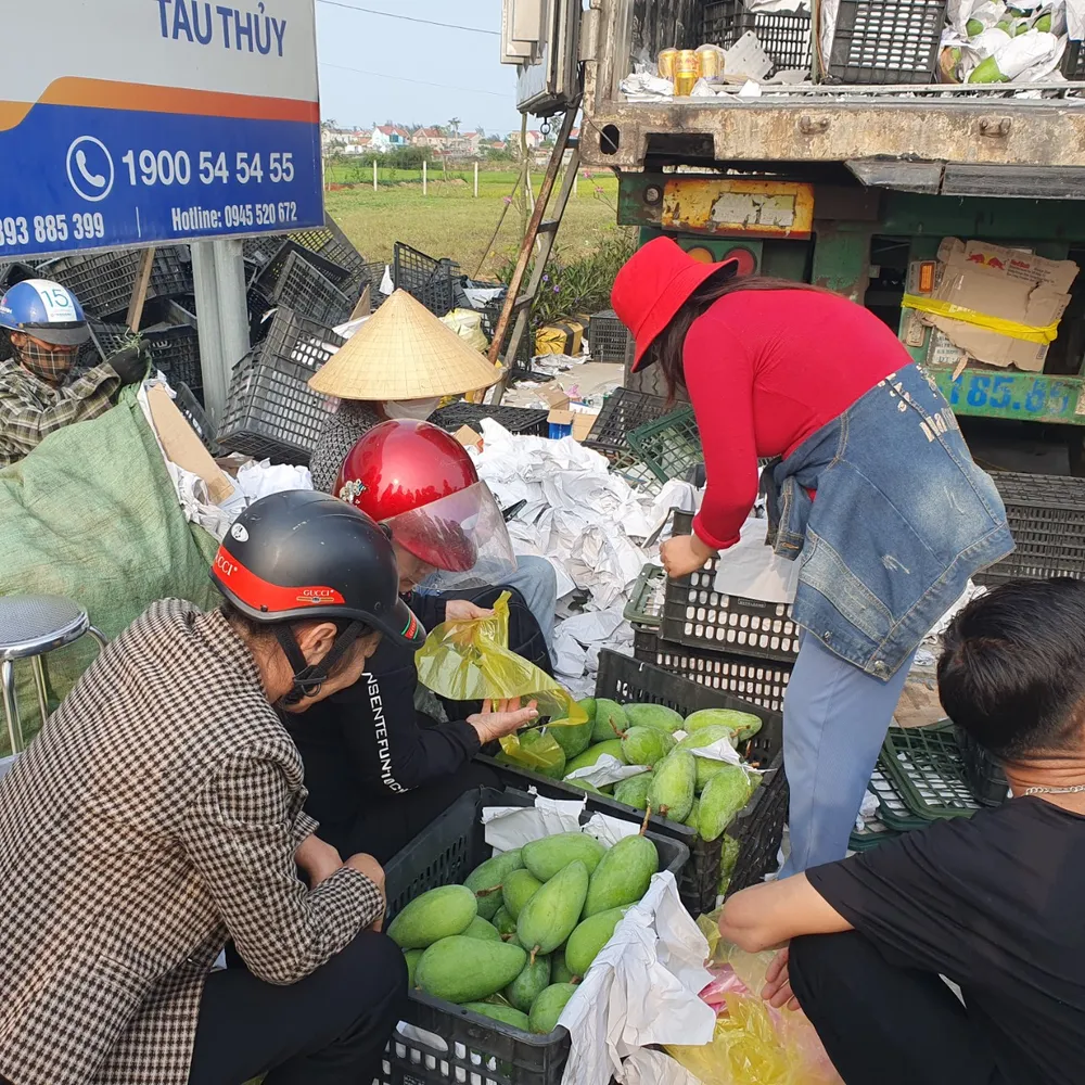 Người dân giúp tài xế tiêu thụ bán xoài