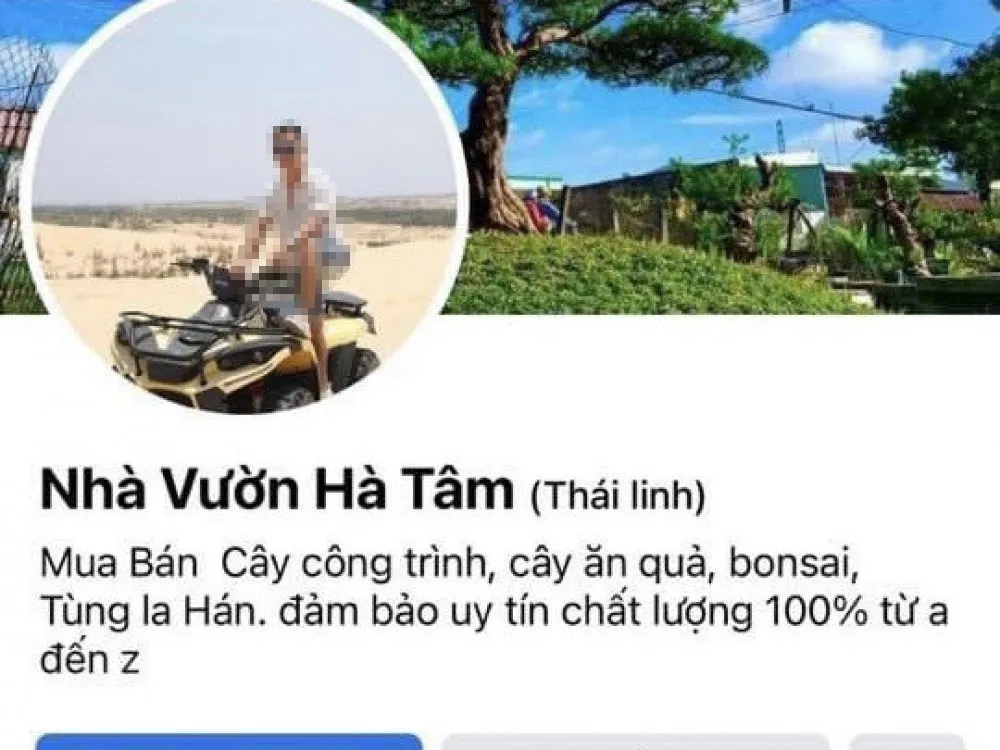 Đối tượng thường xuyên lập nhiều Facebook để lừa đảo. Ảnh: Công an Hà Tĩnh Đối tượng thường xuyên lập nhiều Facebook để lừa đảo. Ảnh: Công an Hà Tĩnh