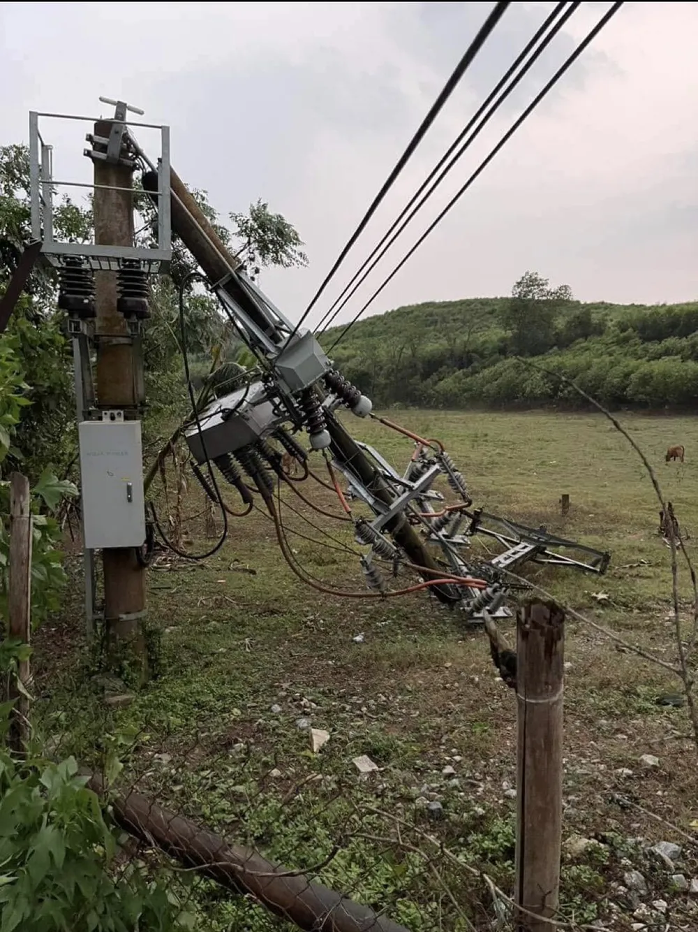 Trụ điện bị gãy do giông lốc ở huyện Quỳ Châu Trụ điện bị gãy do giông lốc ở huyện Quỳ Châu