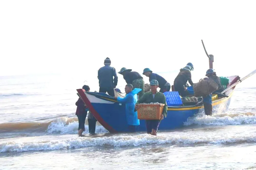 Ngư dân đưa cá vào bờ