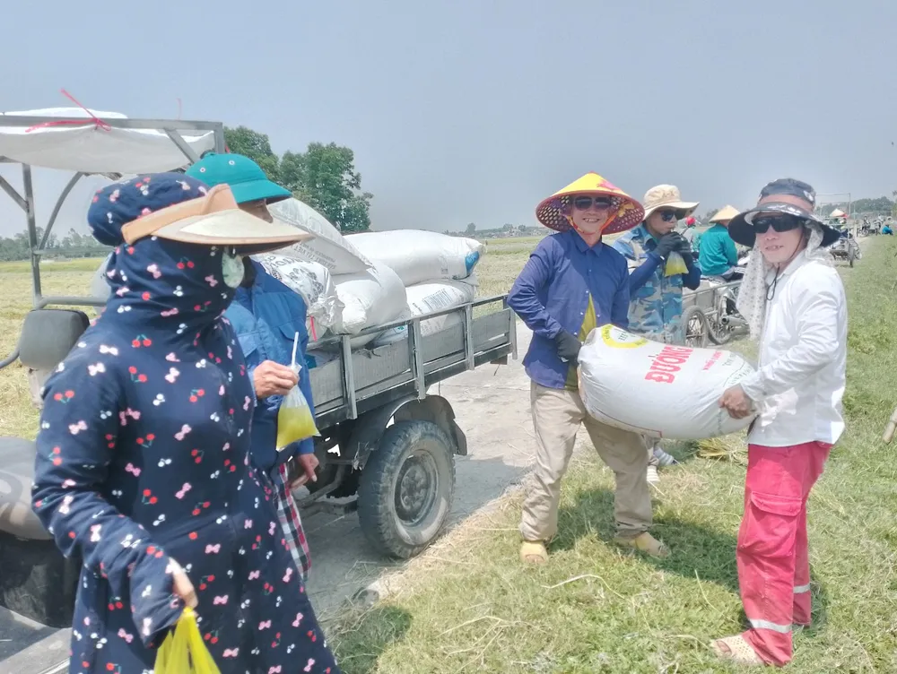 Các thành viên giúp bà con vận chuyển lúa về tận nhà