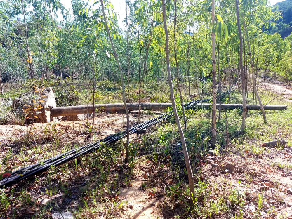 Trụ điện đổ bật gốc Trụ điện đổ bật gốc