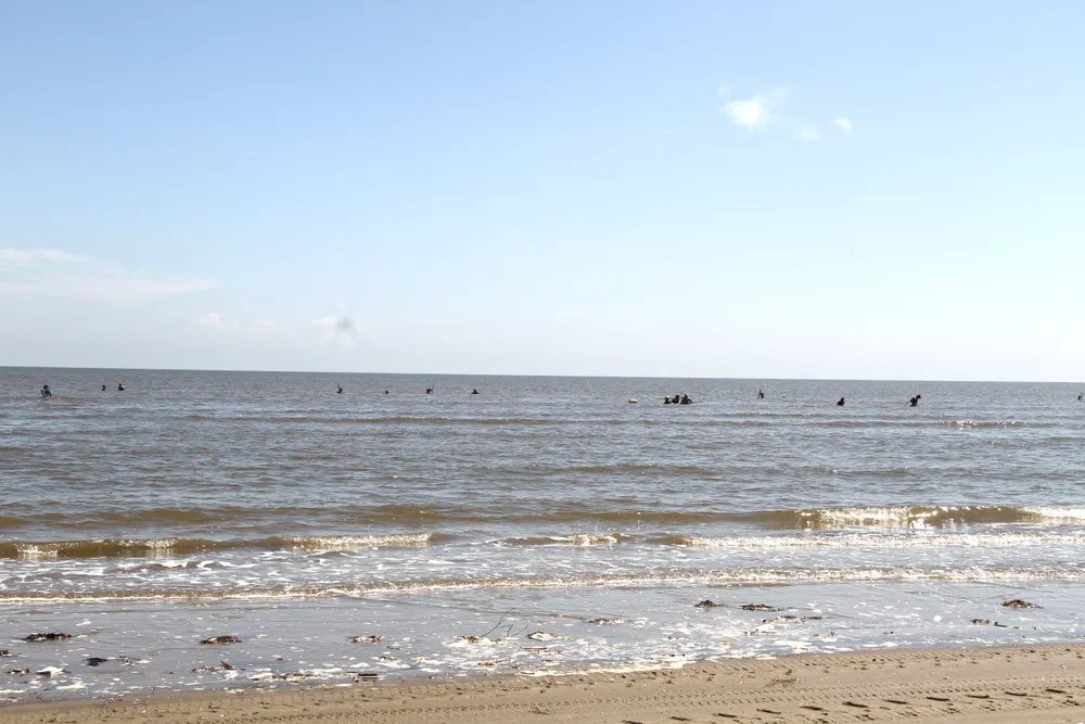 Người dân lội ra biển ở mực nước ngang bụng để cào bắt ốc ruốc Người dân lội ra biển ở mực nước ngang bụng để cào bắt ốc ruốc