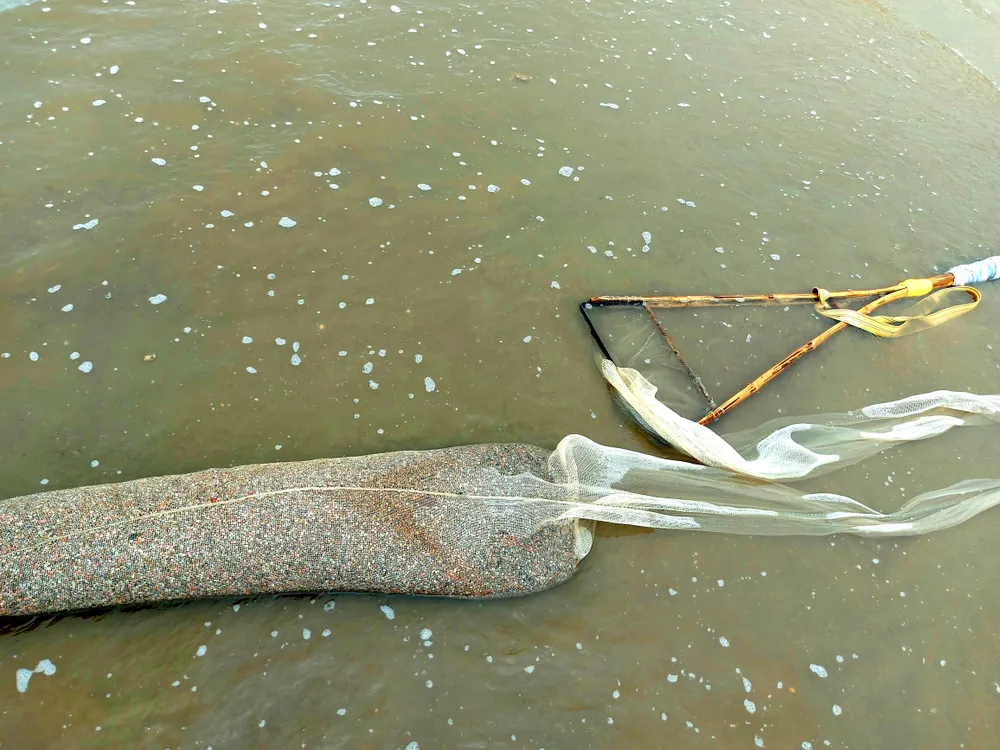 Dụng cụ và số ốc ruốc được người dân cào được Dụng cụ và số ốc ruốc được người dân cào được