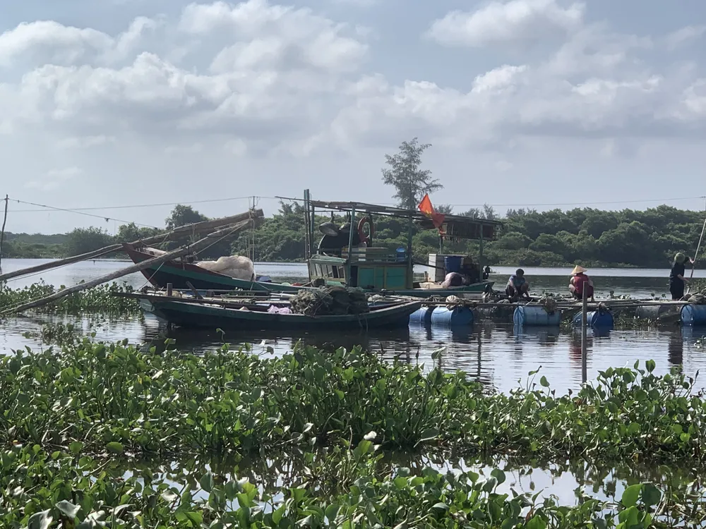 Khu vực nuôi cá lồng bè trên sông Nghèn Khu vực nuôi cá lồng bè trên sông Nghèn