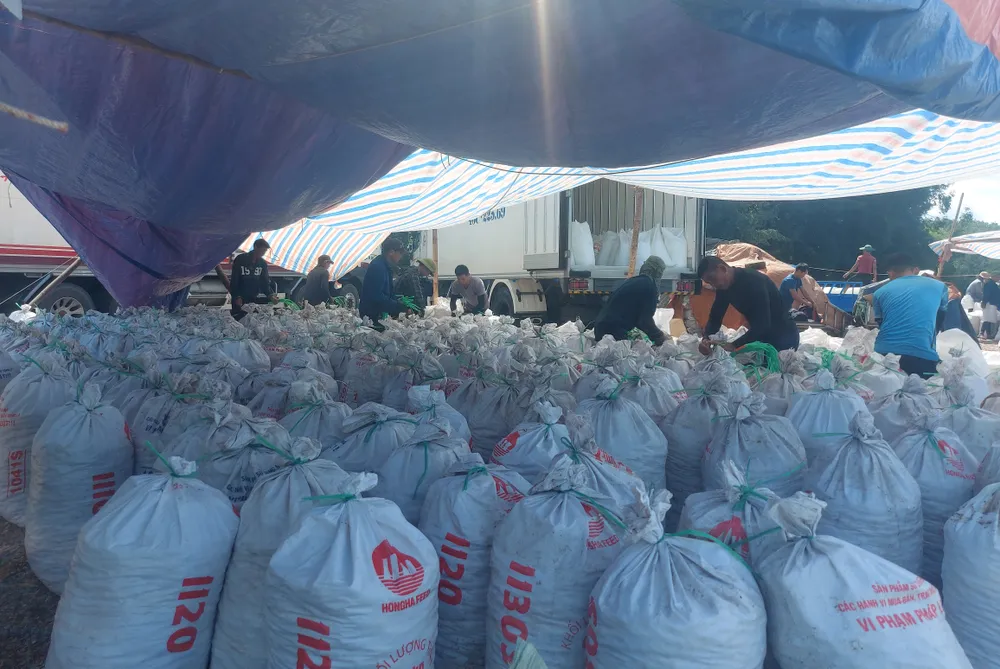 Đóng sò lông vào bao tải đưa lên xe container Đóng sò lông vào bao tải đưa lên xe container