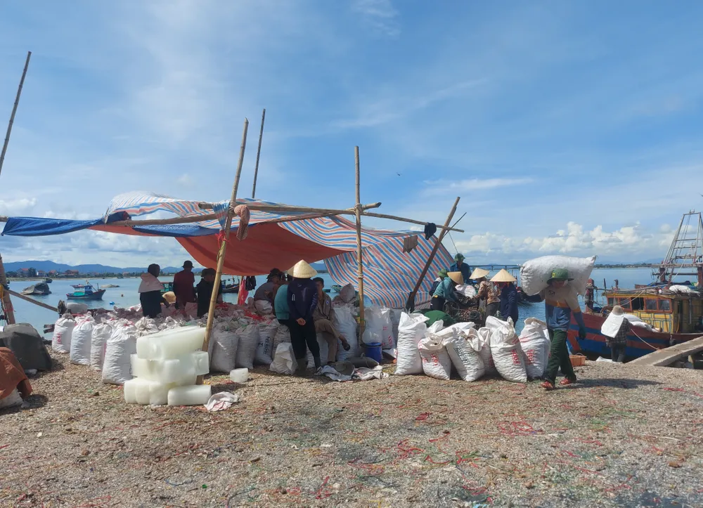 Vận chuyển sò lông từ dưới tàu lên bến Vận chuyển sò lông từ dưới tàu lên bến
