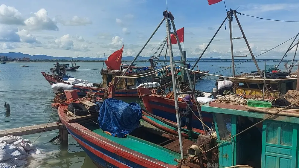 Tàu chở sò lông vừa cập bến Tàu chở sò lông vừa cập bến