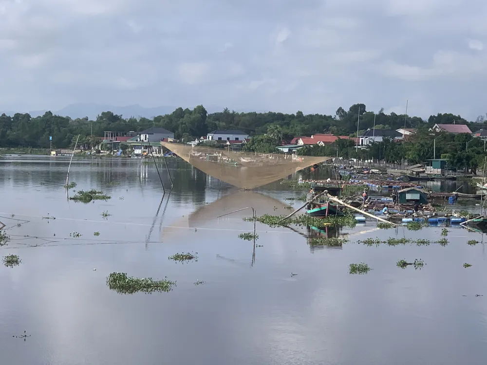 Khu vực nuôi cá lồng bè trên sông Nghèn
