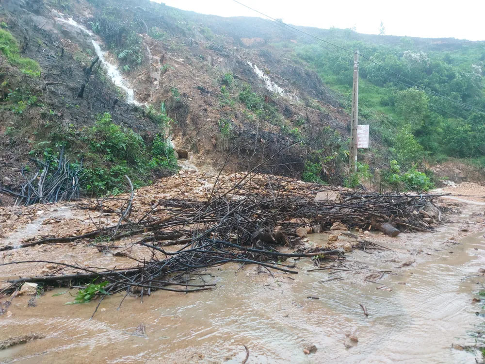 Nhiều đất, đá, cây cối sạt lở tràn xuống đường