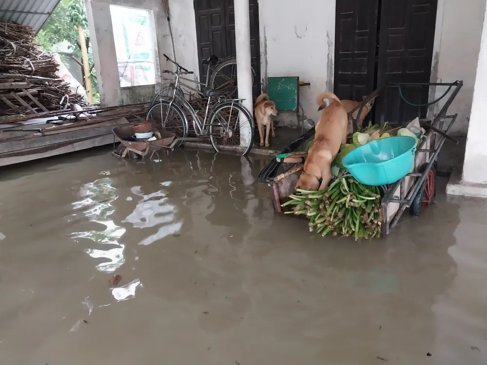 Nước tràn vào sân của nhà dân ở huyện Can Lộc