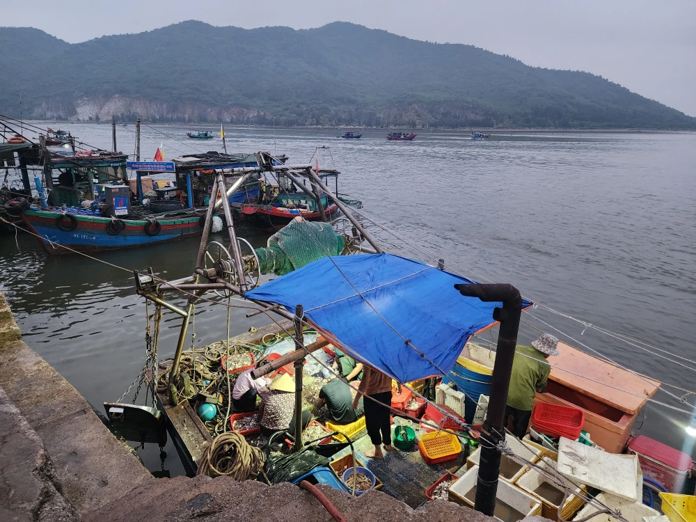 Các tàu thuyền của ngư dân đưa hải sản vào cảng cá Cửa Sót lúc sáng sớm 20250501_052133.jpg