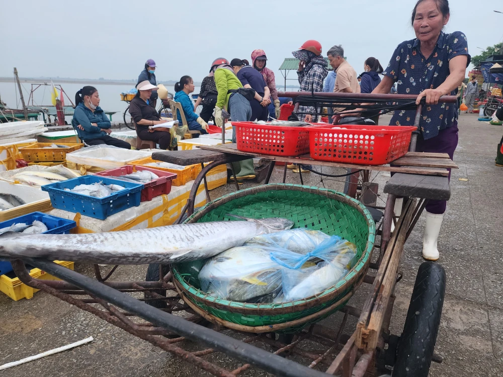 Nhiều hải sản tươi ngon, có giá trị kinh tế cao 20250501_055105.jpg