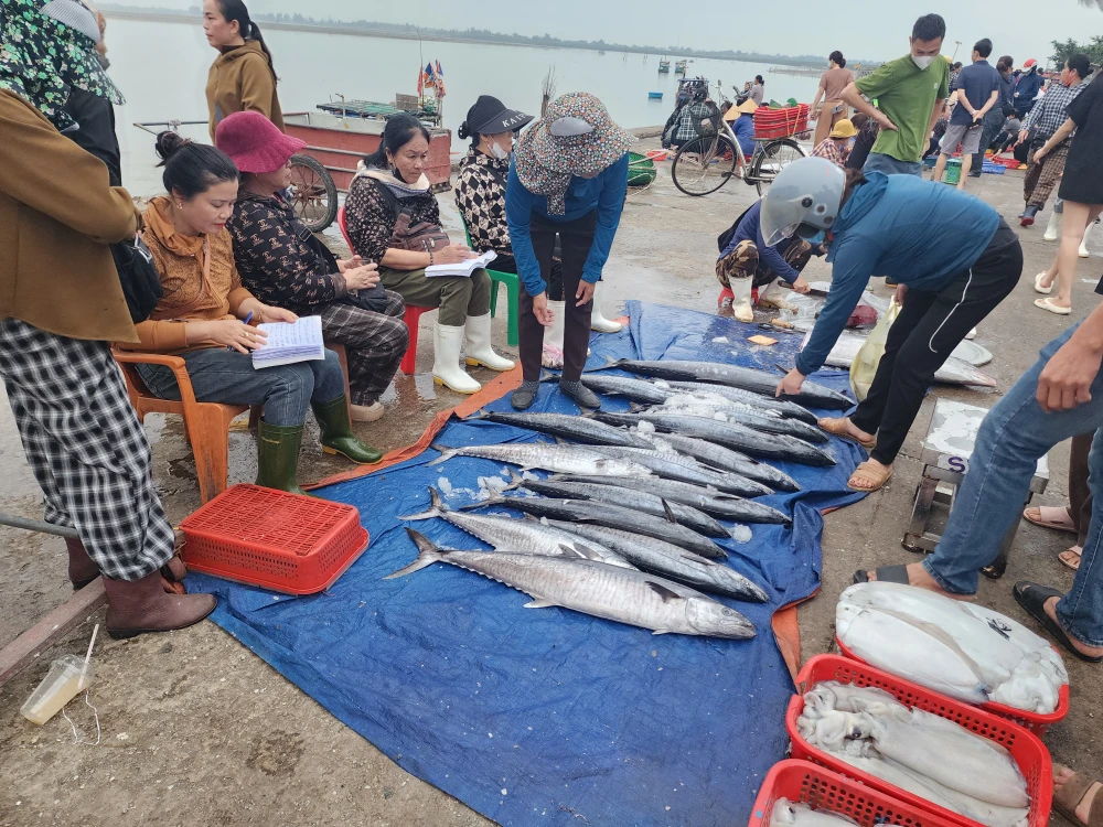 Nhiều hải sản có giá trị kinh tế cao 20250501_055623.jpg