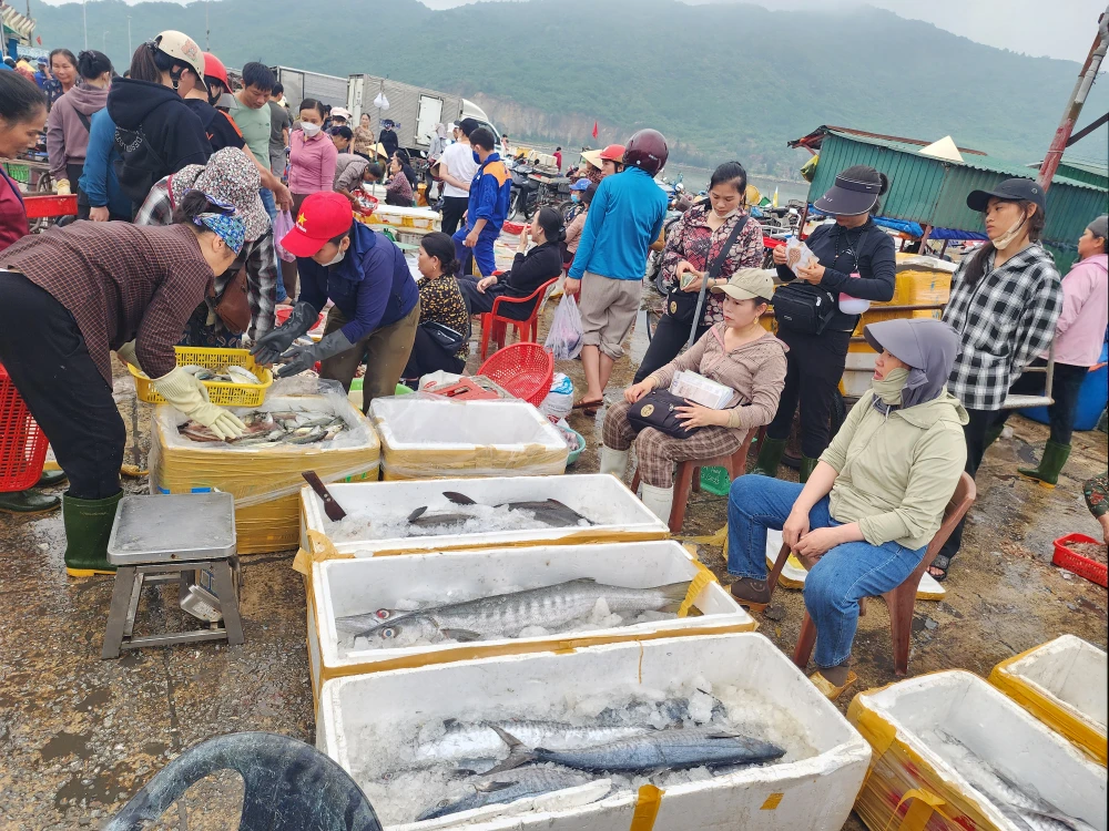 Hải sản tươi ngon phong phú tại cảng cá Cửa Sót 20250501_061946.jpg