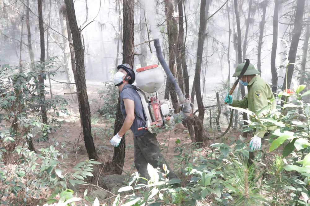 Lực lượng chức năng phun thuốc phòng trừ sâu róm gây hại rừng thông z6585832419086_731cc25bc42e9304f948a41cbf026ba3.jpg