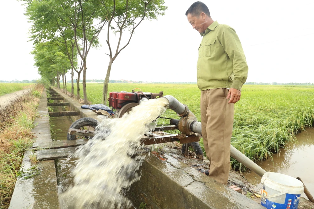 Người dân sử dụng máy bơm rút nước cho ruộng ảnh 2 Người dân ở TP Hà Tĩnh huy động máy bơm rút nước trong ruộng để cứu lúa đổ ngã. Ảnh DƯƠNG QUANG.JPG