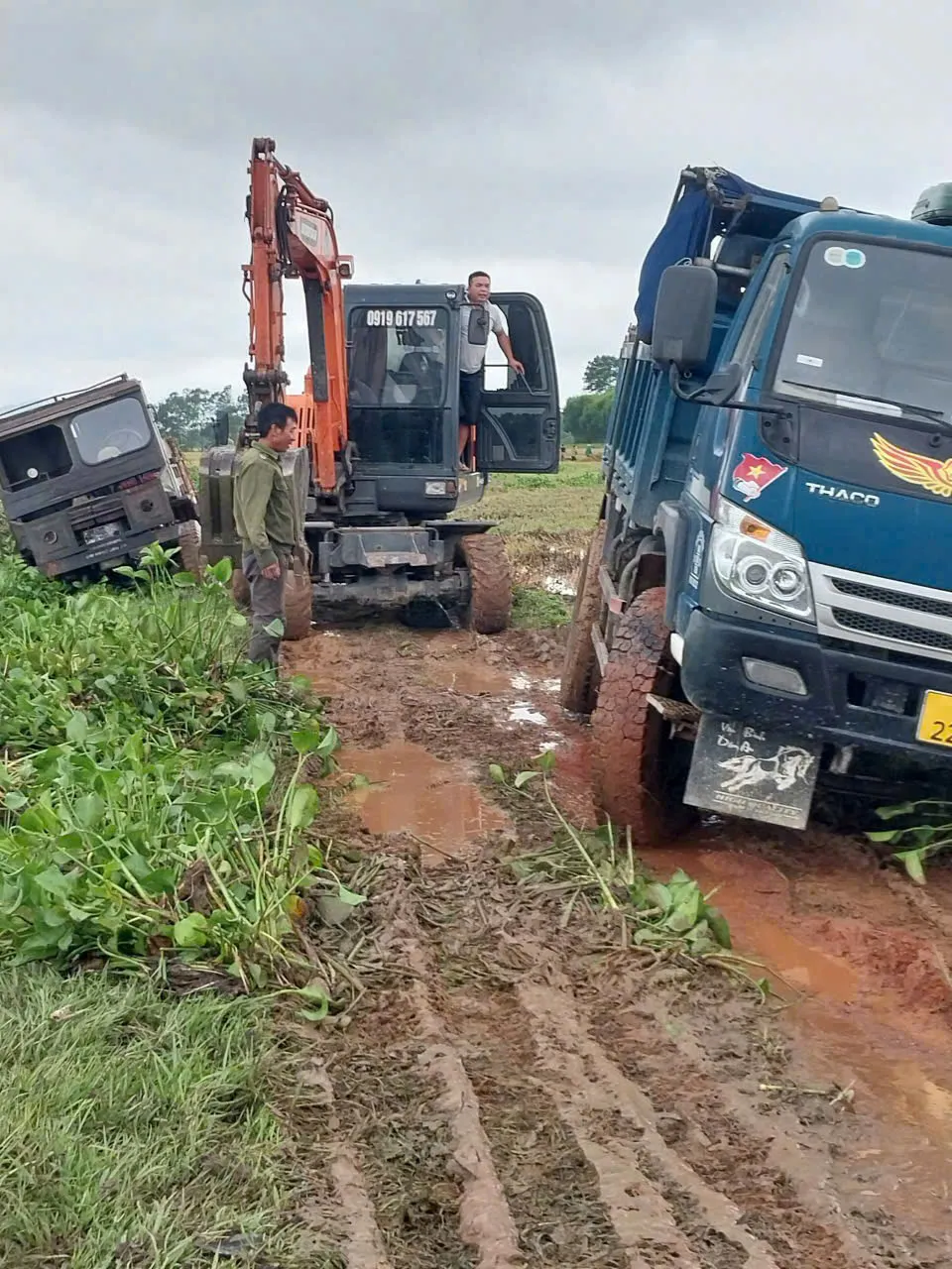 Huy động máy móc tiến hành múc cây bèo tây ra khỏi lòng ruộng ở xã Kỳ Phong z6637512198236_270b35a45b85b99b1390c4de1d86d697.jpg