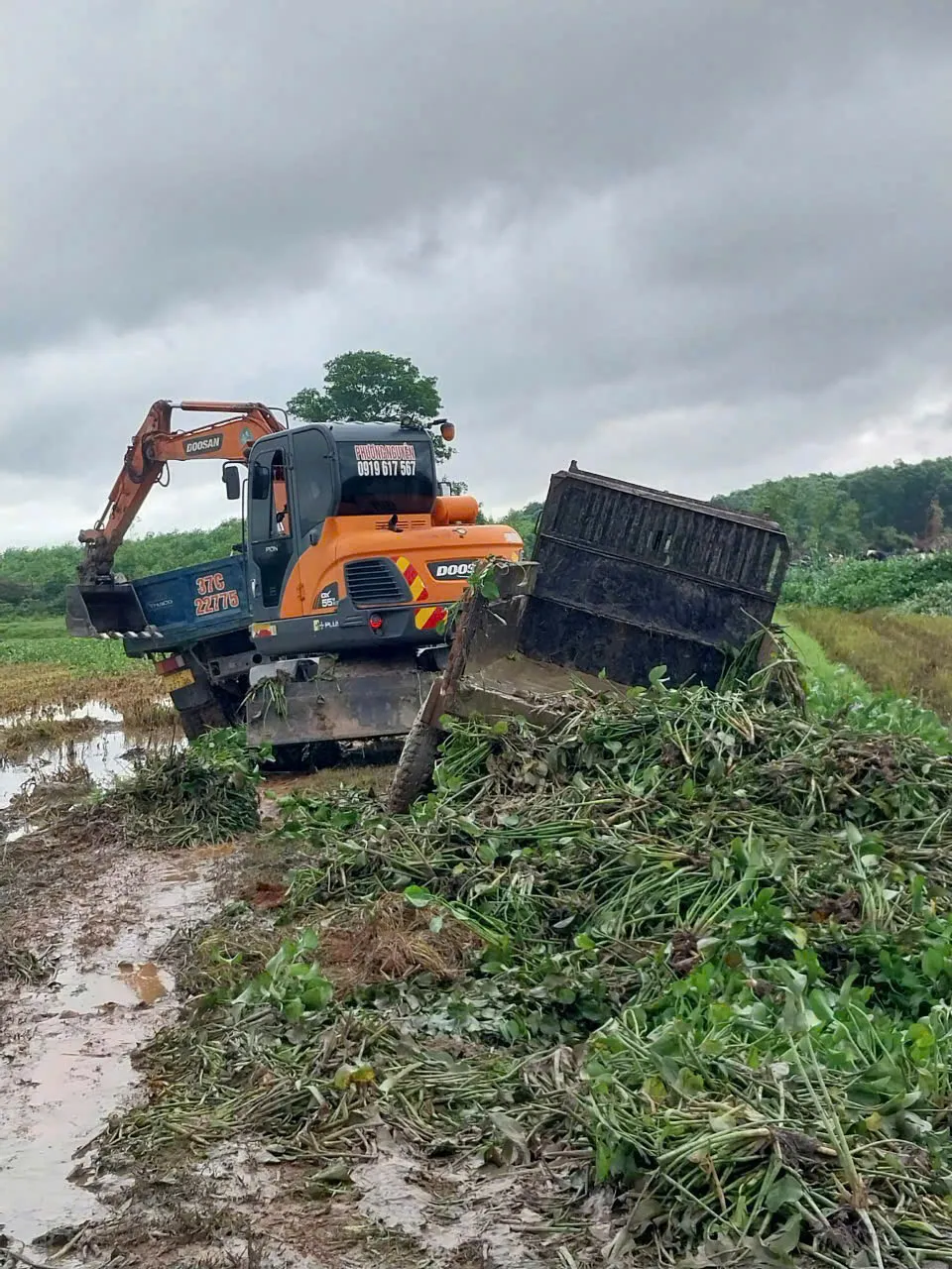 Huy động máy móc tiến hành múc cây bèo tây ra khỏi lòng ruộng ở xã Kỳ Phong z6637512218838_b2281c6e8c05b1985f5a5269cd8d9f4e.jpg