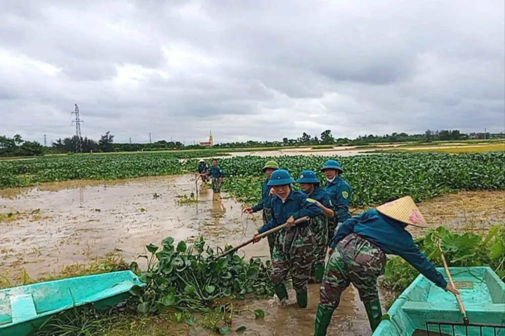 Lực lượng dân quân xã Cẩm Thịnh giúp dân vớt, đẩy cây bèo tây ra khỏi ruộng lúa z6637650772263_cceb1e7d5e05db274e1ef2a0bda5a77f.jpg