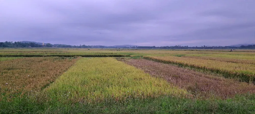Khu vực hiện trường xảy ra vụ việc z6651748697729_d95f2650c56d7d3735db556365c492f5.jpg