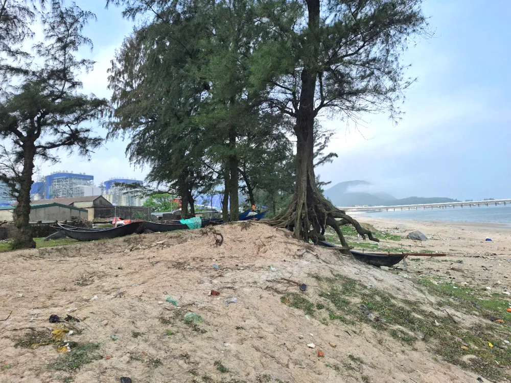 Nhiều diện tích đất và cây phi lao dọc bờ biển xã Kỳ Lợi đã bị cuốn sạt lở z6710030444979_26b44bb2ceb0763053df9e76708ad631.jpg