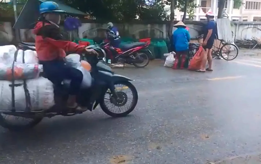 Ốc bươu vàng được người dân bắt và nhập cho các cơ sở đầu mối aqq.jpg