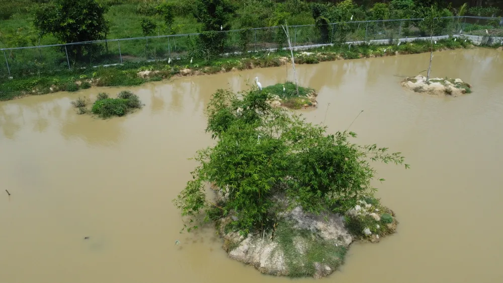 DJI_0581.JPG